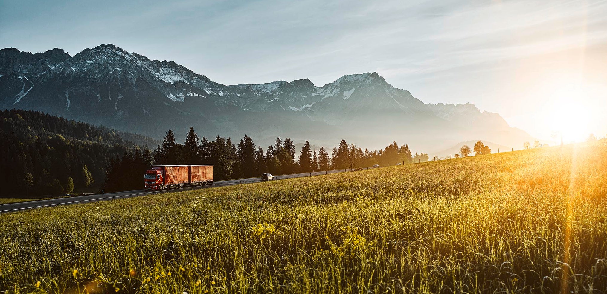 Truck on a motorway in the Mountains in front of a green field.