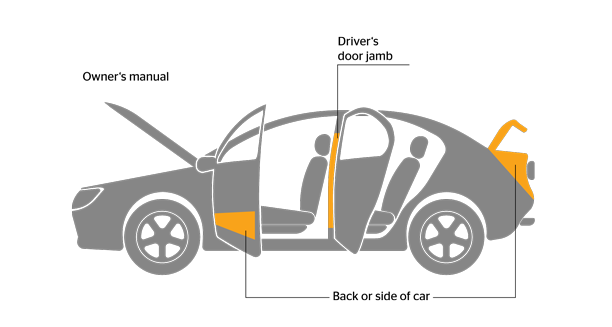 Infographic showing parts of a car where you can find the tire size