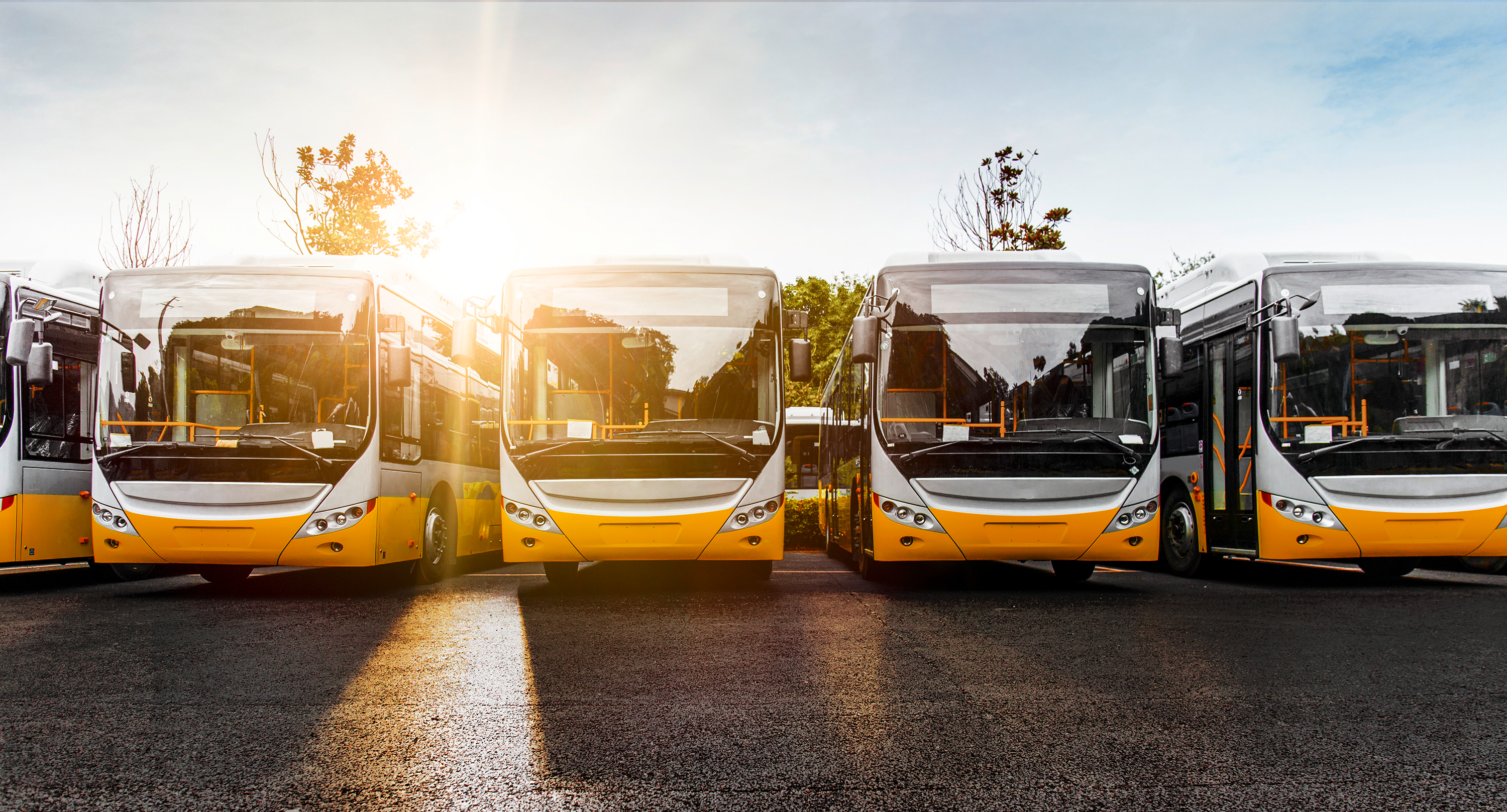 Four Yellow buses in a parking lot